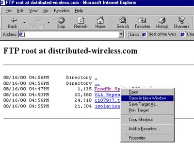 Win95 IE4 Interface